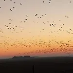 Апартаменты Hare Лангенес