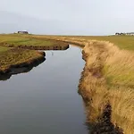 Hare * Лангенес