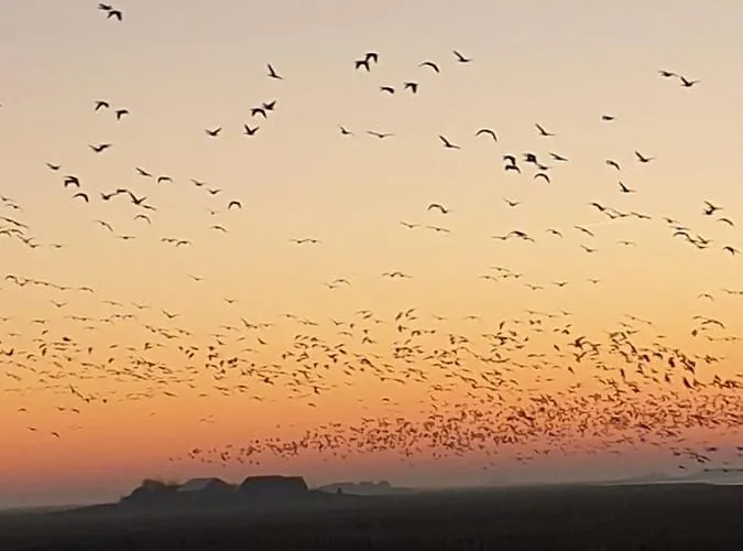 Appartamento Hare Langeneß