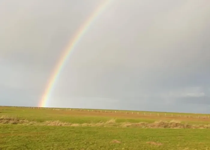 아파트 Hare Langeneß